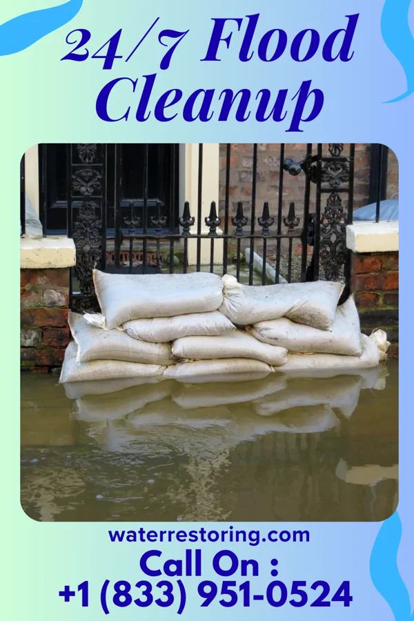 24/7 Flood Cleanup in Hutchison, VA