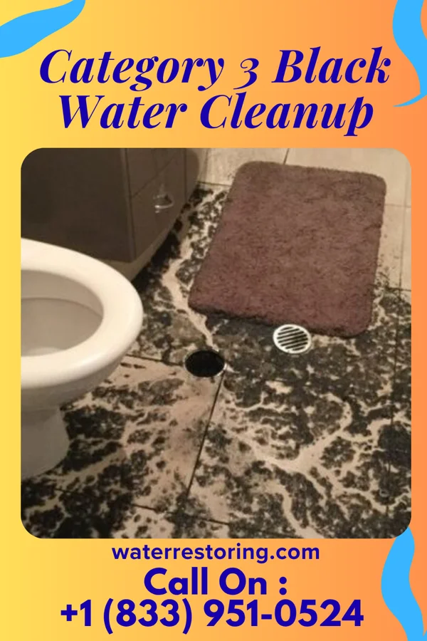 Category 3 Black Water Cleanup in Hutchison, VA
