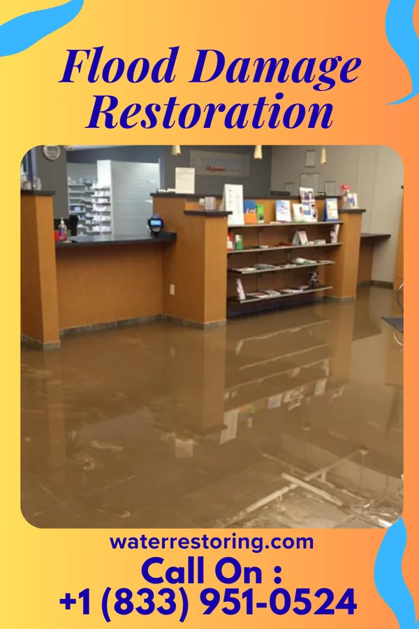 Flood Damage Restoration in Hutchison, VA