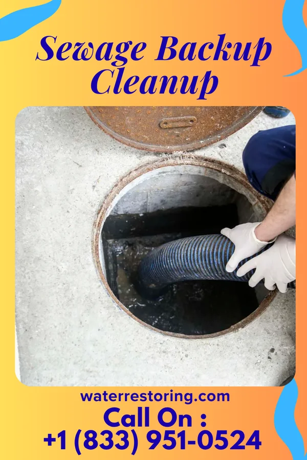 Sewage Backup Cleanup in Hutchison, VA